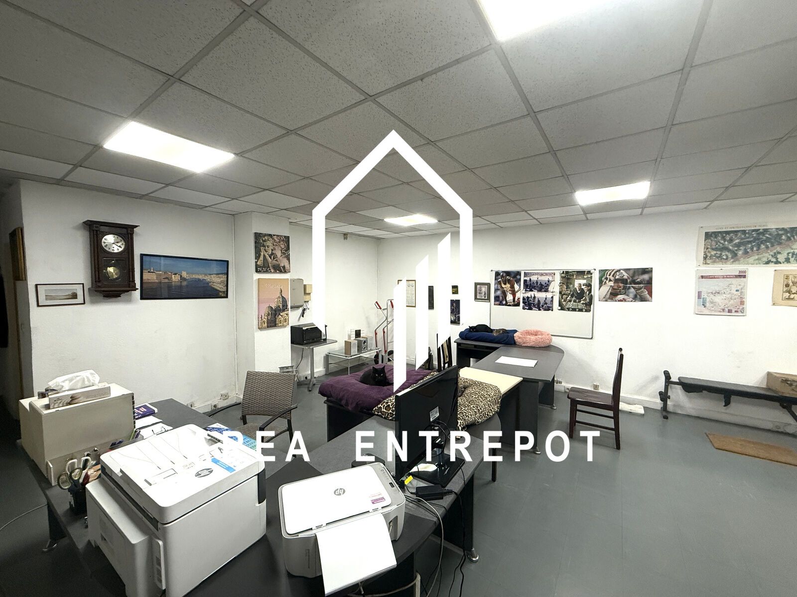 Vente Local d'activité Marseille 15 13015